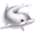 硅基智能